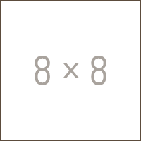 8 x 8